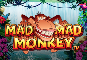Mad Mad Monkey NextGen