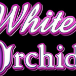 White Orchid IGT