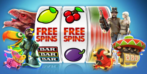 What Are Free Spins Bonuses?