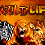 The Wild Life IGT