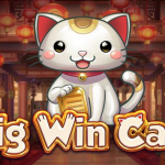 Big Win Cat Play N Go