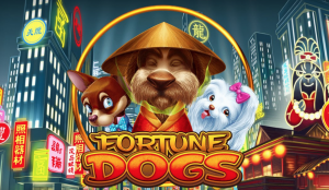 Fortune Dogs Habanero