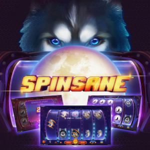 NetEnt Give Us A Sneak Peep At Latest Slot Spinsane