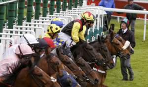 No Large Spectator Crowds For Horse Racing Venues